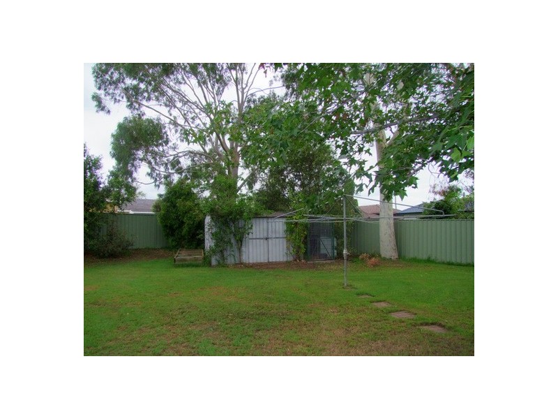 Singleton NSW 2330