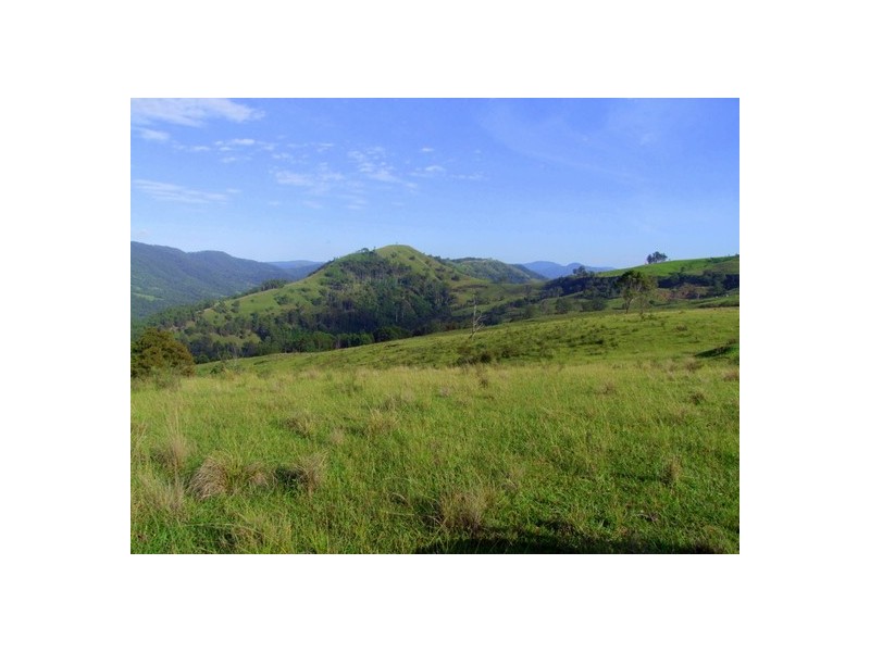 Lot 99 Mirannie Road, Mirannie NSW 2330