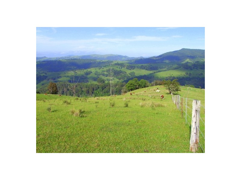 Lot 99 Mirannie Road, Mirannie NSW 2330