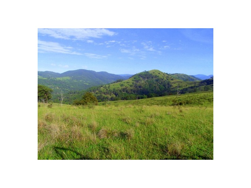 Lot 99 Mirannie Road, Mirannie NSW 2330