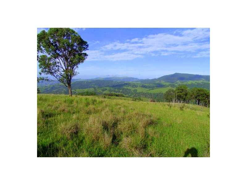Lot 99 Mirannie Road, Mirannie NSW 2330
