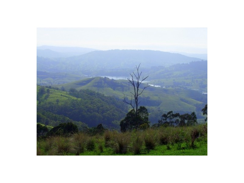 Lot 99 Mirannie Road, Mirannie NSW 2330