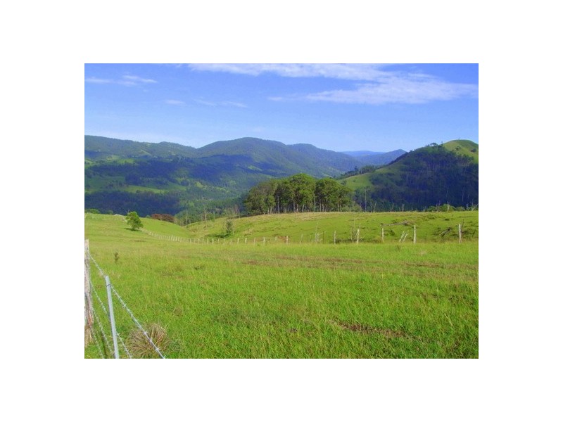 Lot 99 Mirannie Road, Mirannie NSW 2330