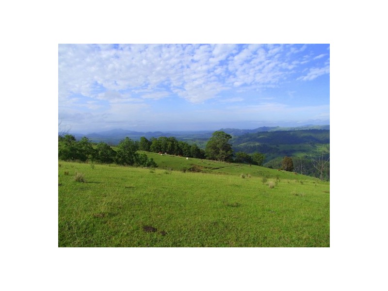 Lot 99 Mirannie Road, Mirannie NSW 2330