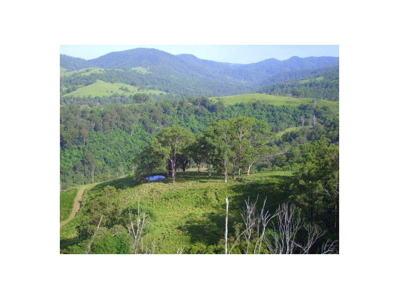 Lot 99 Mirannie Road, Mirannie NSW 2330