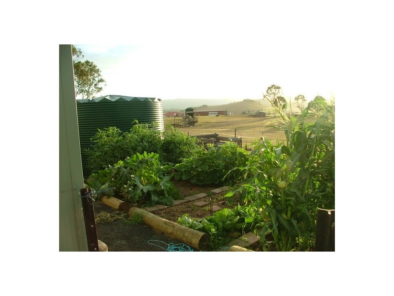 Singleton NSW 2330