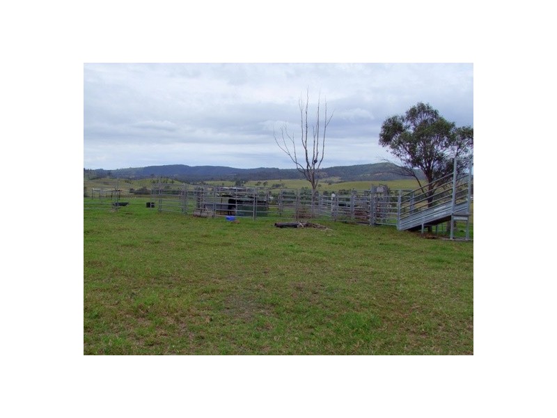 Singleton NSW 2330