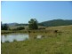 Singleton NSW 2330