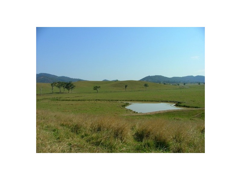 Singleton NSW 2330