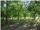 Baerami Creek NSW 2333