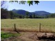 Baerami Creek NSW 2333