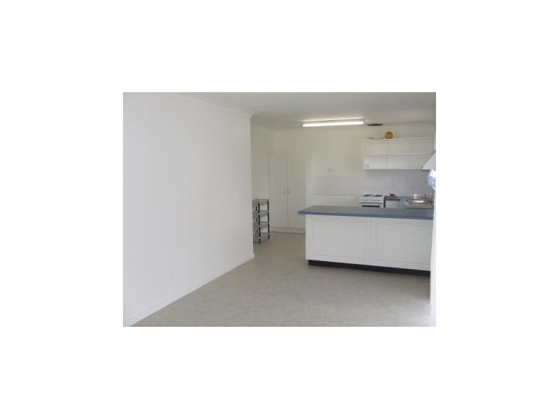 67 Howe Street, Singleton NSW 2330