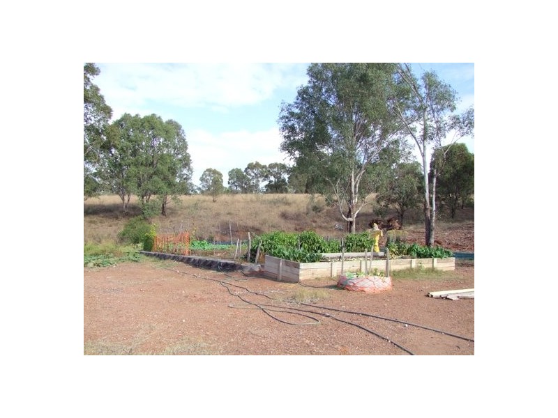 Singleton NSW 2330