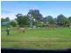 Jerrys Plains NSW 2330