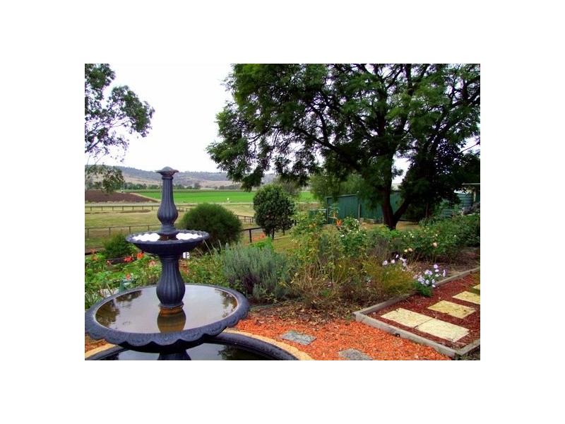 Jerrys Plains NSW 2330