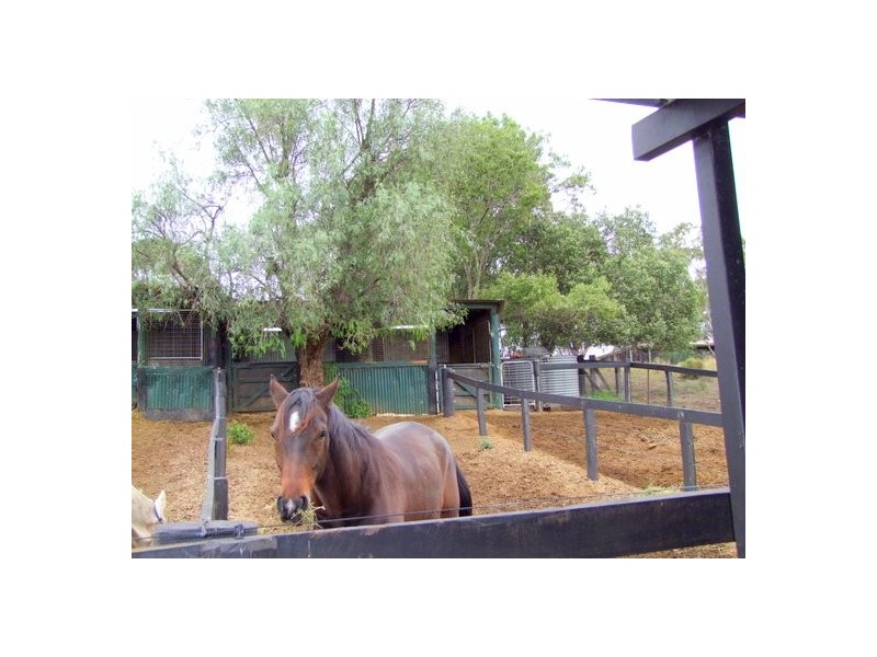 Jerrys Plains NSW 2330