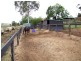Jerrys Plains NSW 2330