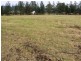 3 Blaxland Street, Broke NSW 2330