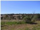 Jerrys Plains NSW 2330