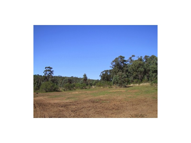 Jerrys Plains NSW 2330