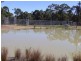 Singleton NSW 2330