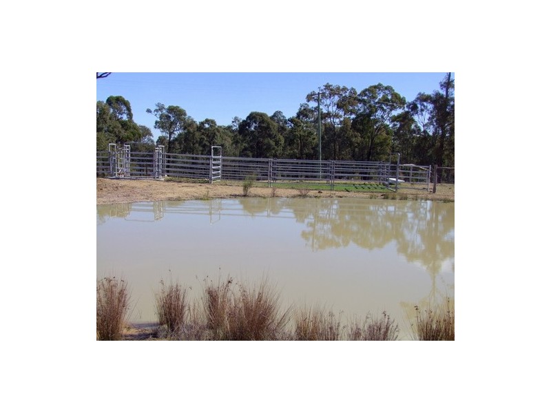 Singleton NSW 2330