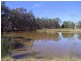 Singleton NSW 2330