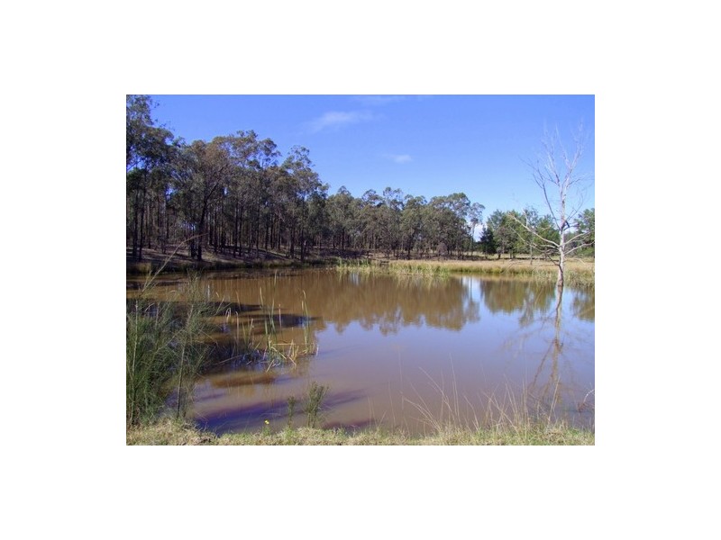 Singleton NSW 2330
