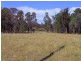 Singleton NSW 2330