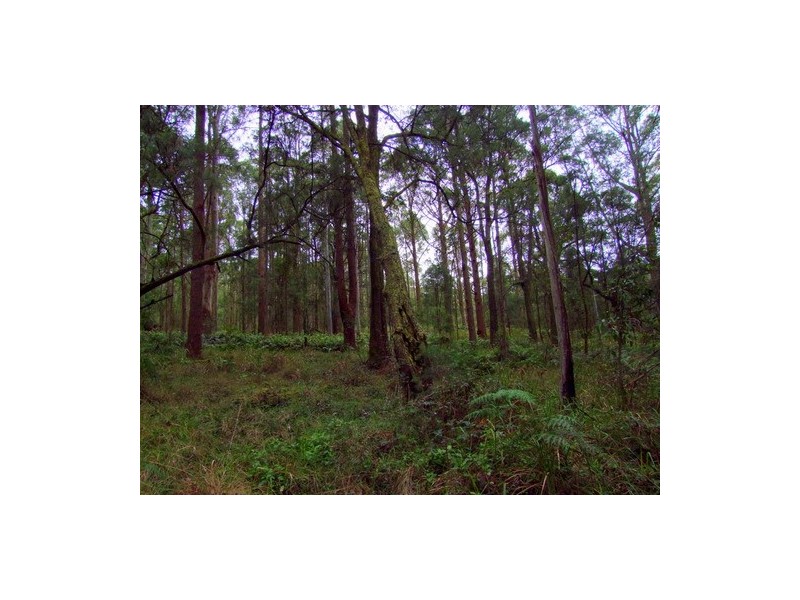 Carrowbrook NSW 2330