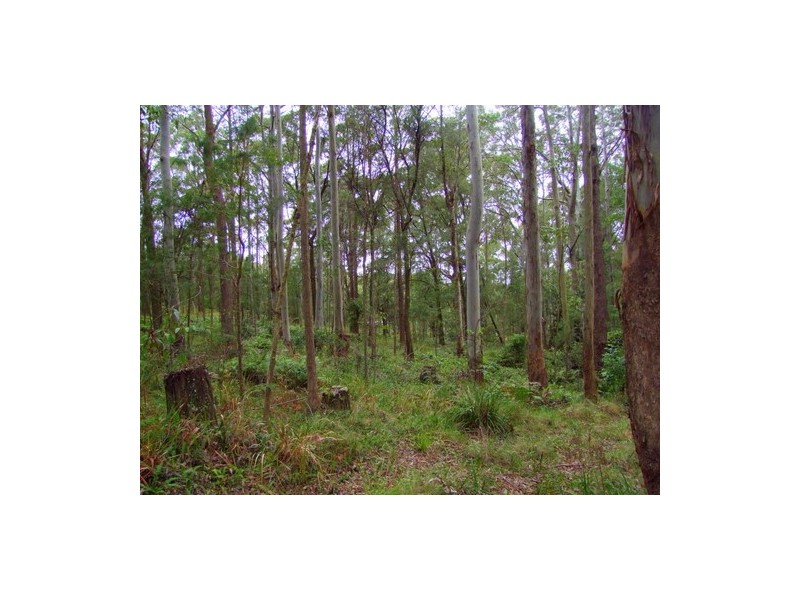 Carrowbrook NSW 2330