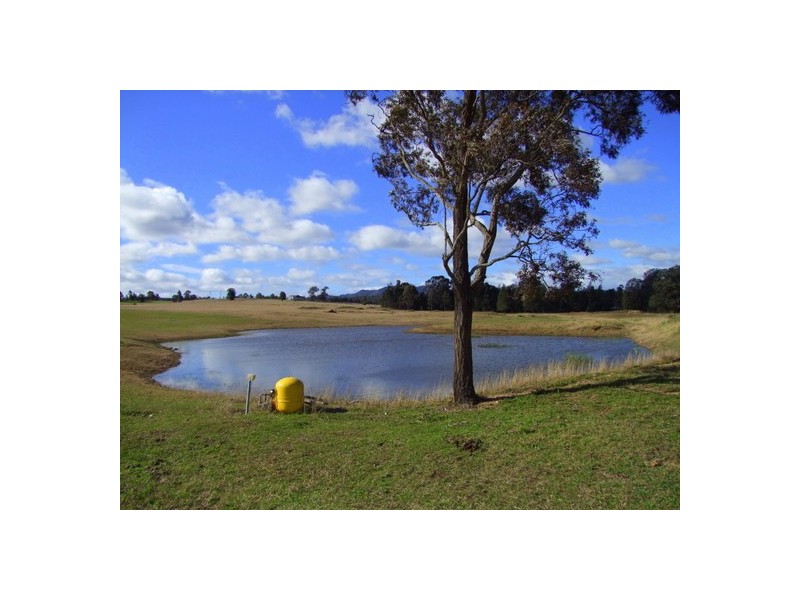 Singleton NSW 2330
