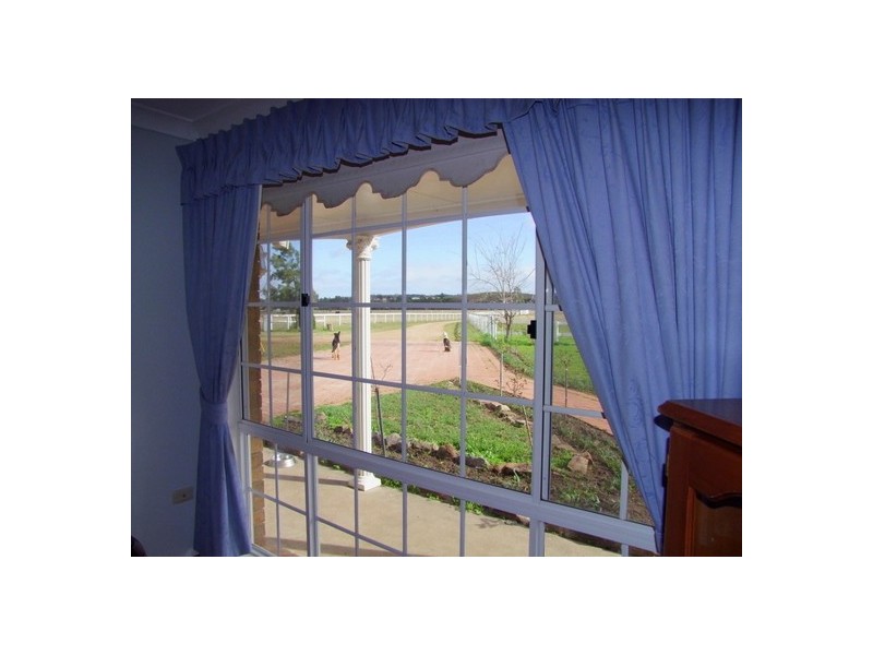 Singleton NSW 2330