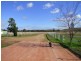 Singleton NSW 2330