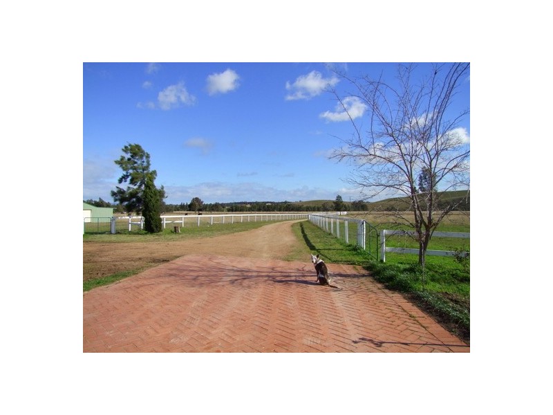 Singleton NSW 2330