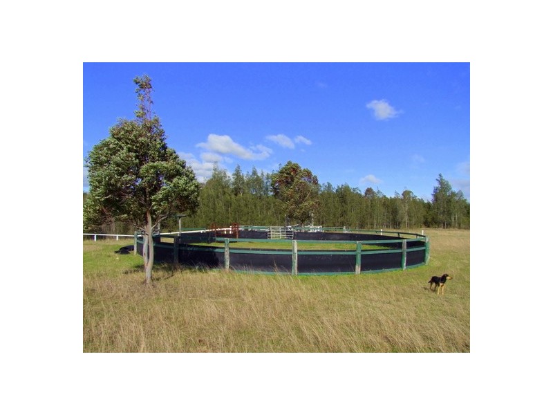 Singleton NSW 2330