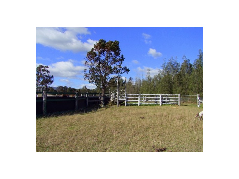 Singleton NSW 2330