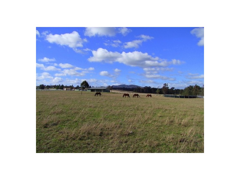 Singleton NSW 2330
