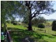 Jerrys Plains NSW 2330
