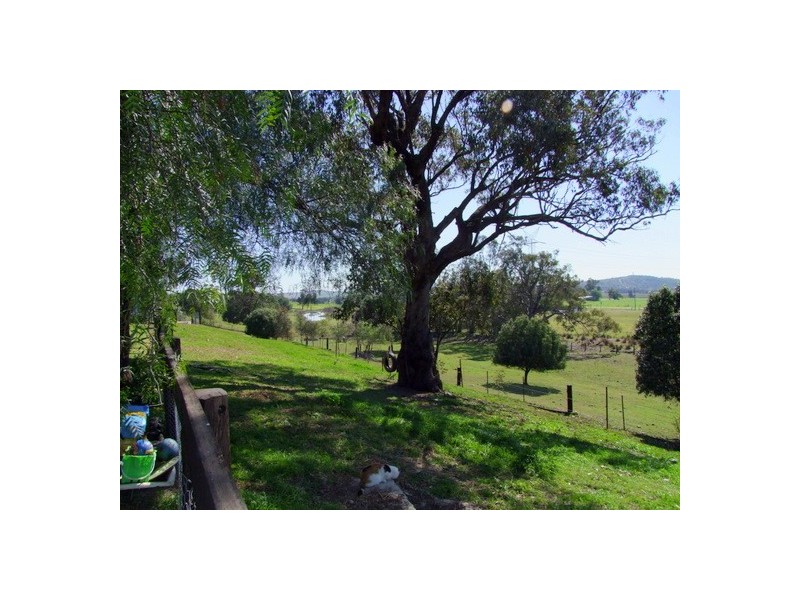 Jerrys Plains NSW 2330