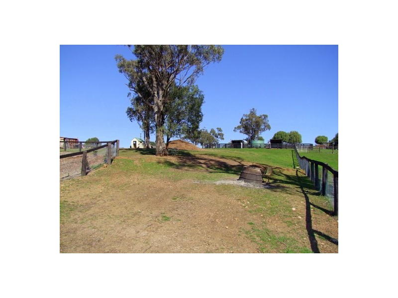 Jerrys Plains NSW 2330