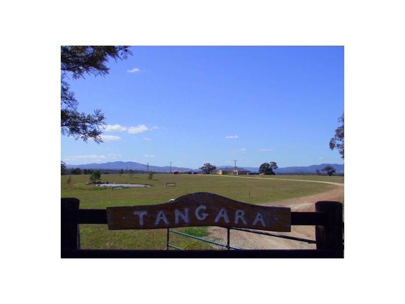 Singleton NSW 2330