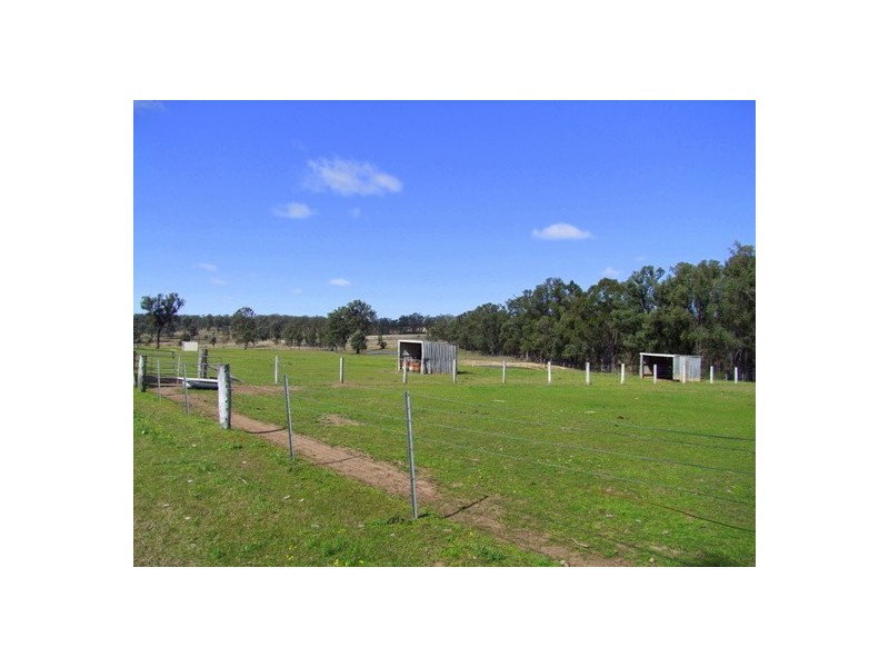 Singleton NSW 2330