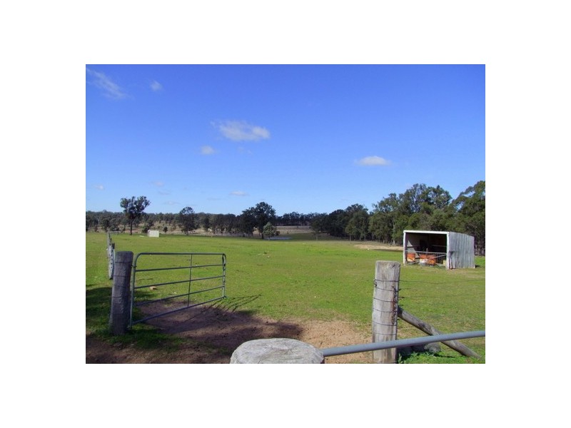 Singleton NSW 2330