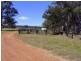 Singleton NSW 2330