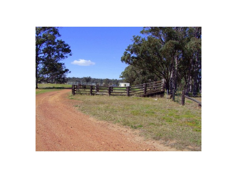 Singleton NSW 2330