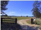 Singleton NSW 2330