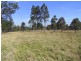 Singleton NSW 2330