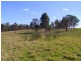Singleton NSW 2330