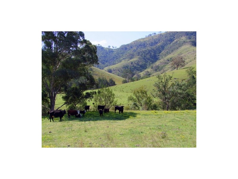 Carrowbrook NSW 2330